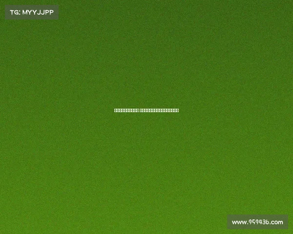 海港亚冠报名名单公布 古斯塔沃夏窗被取消报名后成功入选